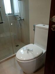 Nassim Regency (D10), Condominium #574572991